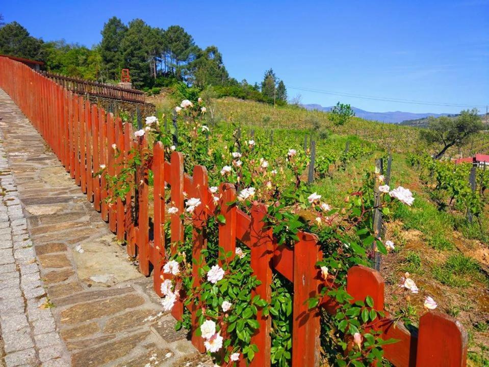 Casa Do Poco - Douro Hotel Peso da Regua Exterior photo